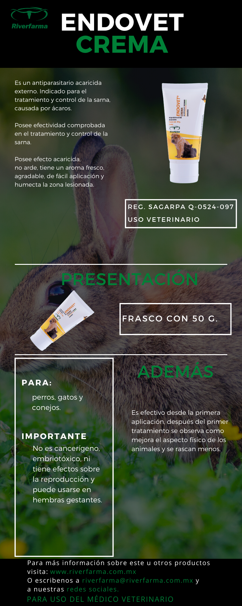Endovet Crema
